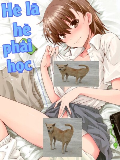 Hè là hè phải học