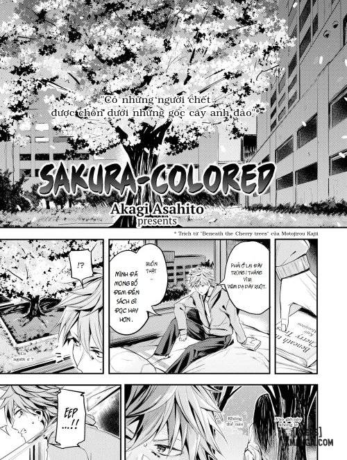 Sakura-Colored