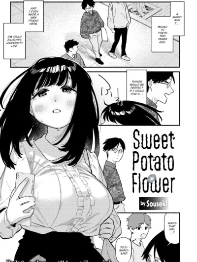 Sweet Potato Flower 