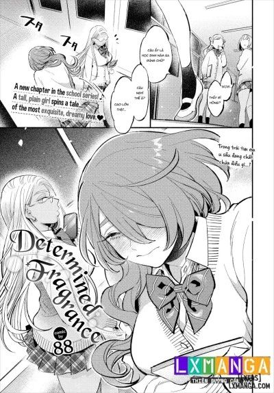 Determined Fragrance 