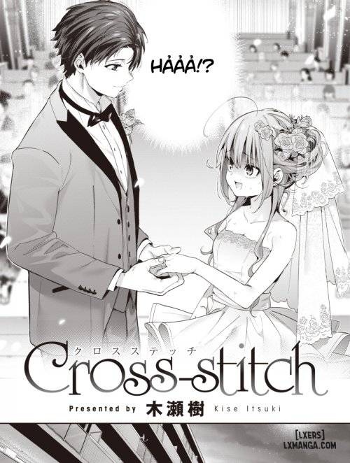 Cross-stitch 