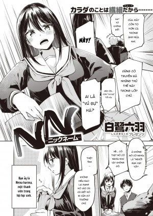 NN - Nick Name