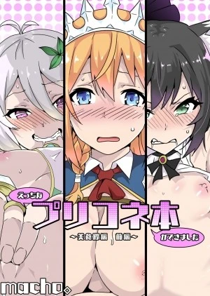Ecchi na PriConne Bon ga Dekimashita 