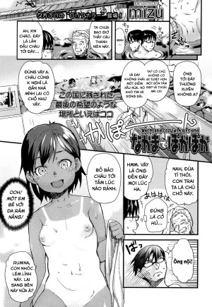 Nakama de Pokapoka 
