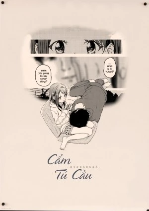 Cẩm Tú Cầu 
