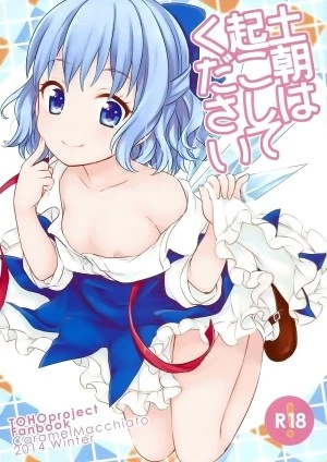 Hãy đánh thức anh dậy vào sáng thứ 7 (touhou project) 