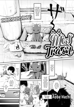 Mèo Trả Ơn! 