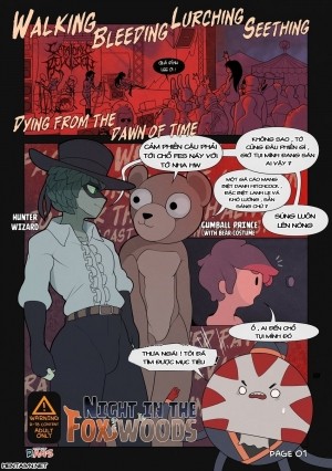 Night In The Fox Woods