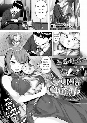 Cat, Rat & China girl