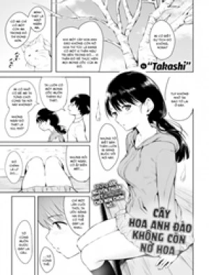 Cây hoa anh đào không còn nở hoa 
