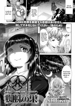 Kumo no Su 