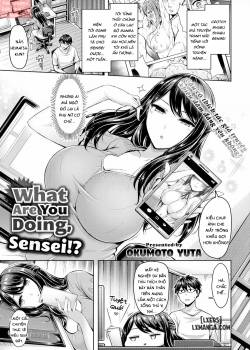 What Are You Doing, Sensei 
