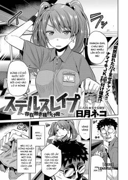 Stealth Rape Sonzai Naki Tanetsukema 
