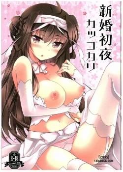Shinkon Shoya Kakkokari 