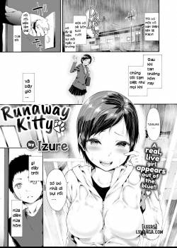 Runaway Kitty 
