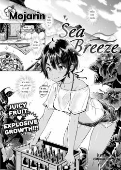 Sea Breeze 