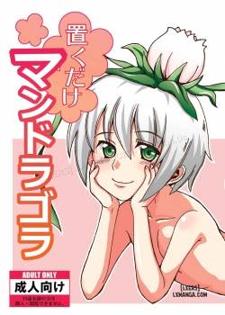 Okudake Mandragora 