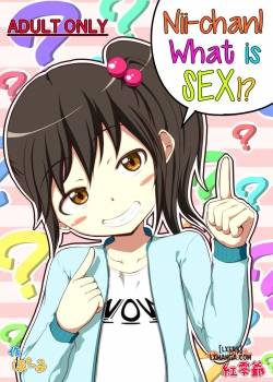 Nii-Chan SEX Tte Nani 