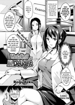 Molding M Delight 