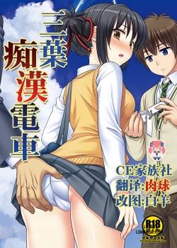 Mitsuha Chikan Densha 