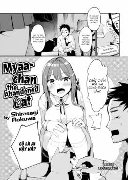 Miyaa-chan The Abandoned Cat 
