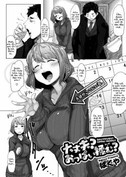 Daijoubu Oppai Momu 