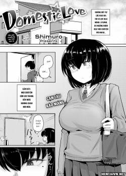 Domestic Love 