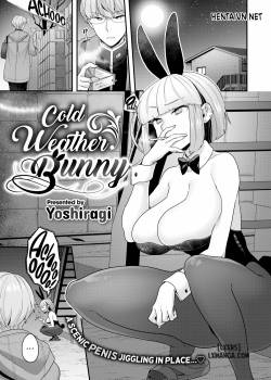 Cold Weather Bunny 