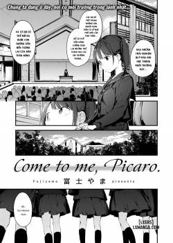 Come to Me, Picaro 