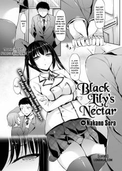 Black Lily's Nectar 