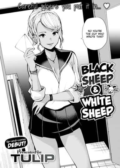 Black Sheep & White Sheep 