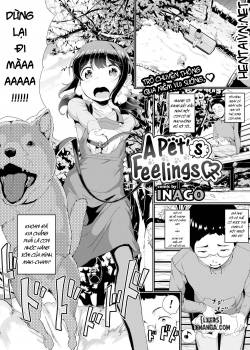 A Pet's Feelings 