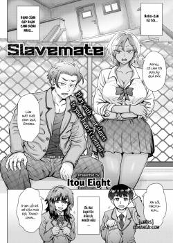 Slavemate
