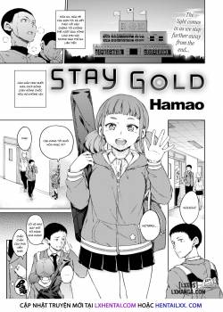 Stay Gold 