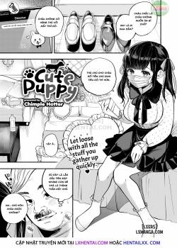 Cute Puppy 