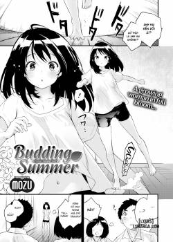 Budding Summer 