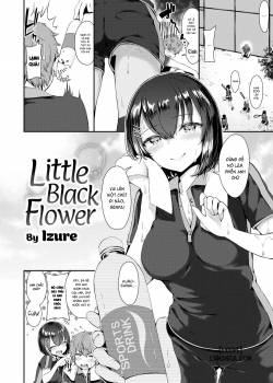 Little Black Flower 