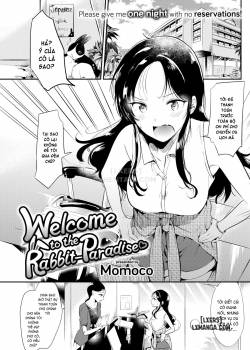 Welcome to the Rabbit Paradise 