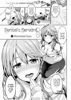 Sensei’s Servant 