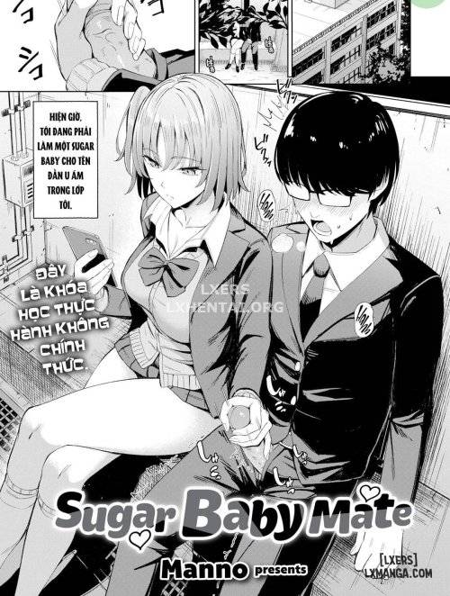 Sugar Baby Mate 