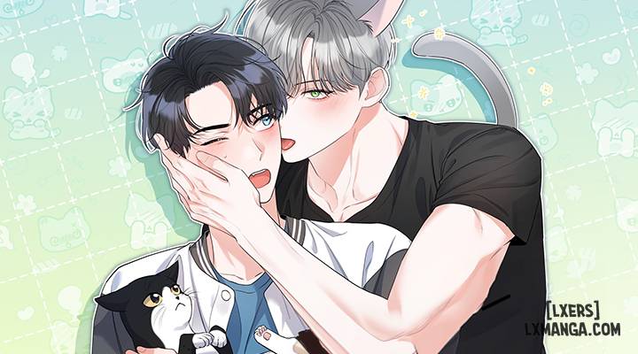 Không phải con mèo đó, con mèo này cơ! 