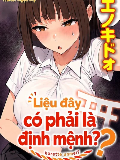 Liệu đây có phải là định mệnh ?